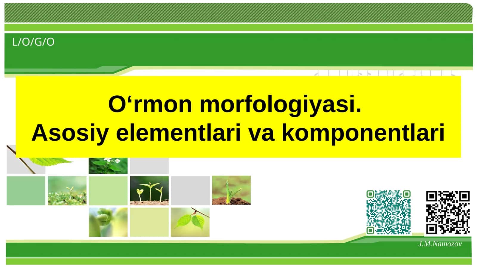 О‘rmon morfologiyasi.Asosiy elementlari va komponentlari