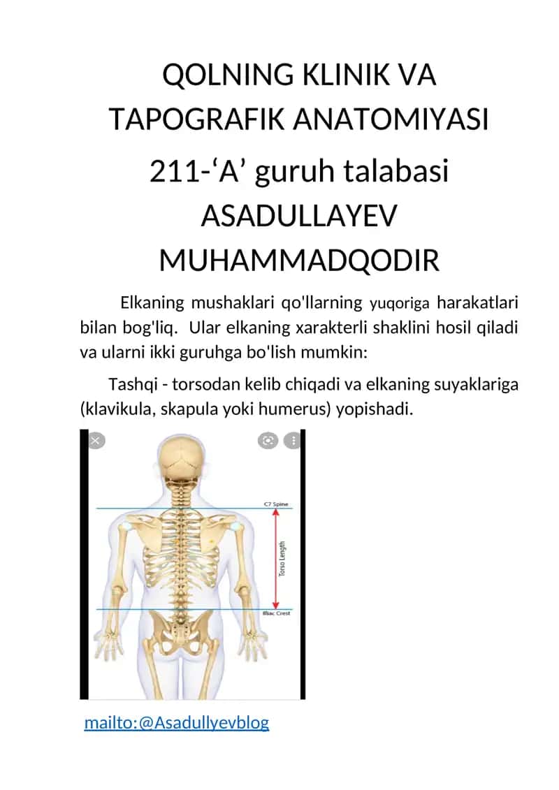 QOLNING KLINIK VA TAPOGRAFIK ANATOMIYASI