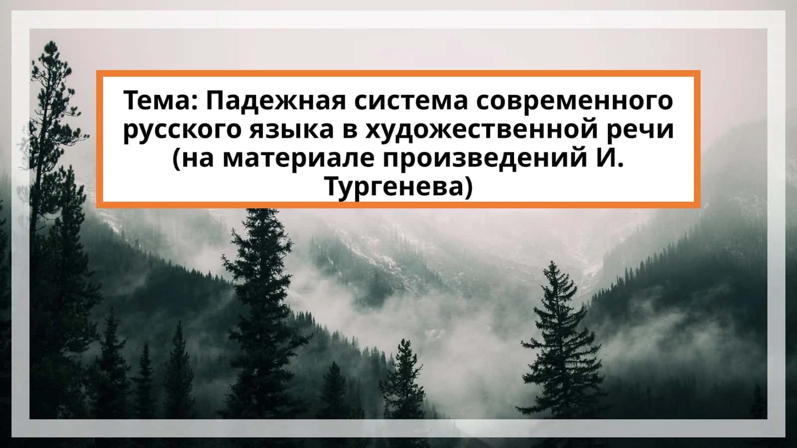 Падежная система современного русского языка в художественной речи (на материале произведений И. Тургенева)