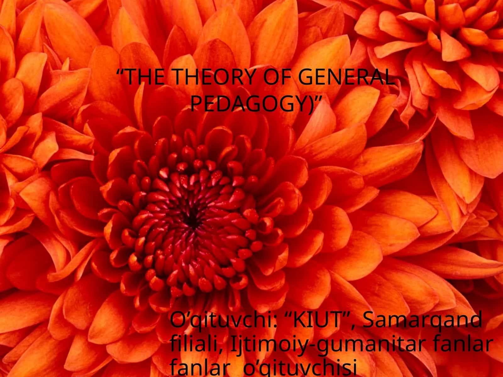 ТНЕ THEORY ОF GENERALPEDAGOGY