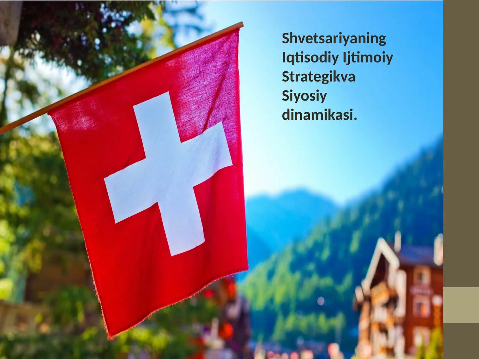 Shvetsariyaning Iqtisodiy va Siyosiy dinamikasi
