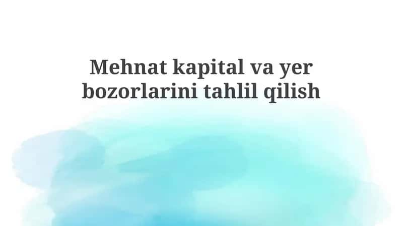 Mehnatkapital vayer bozorlari tahlili