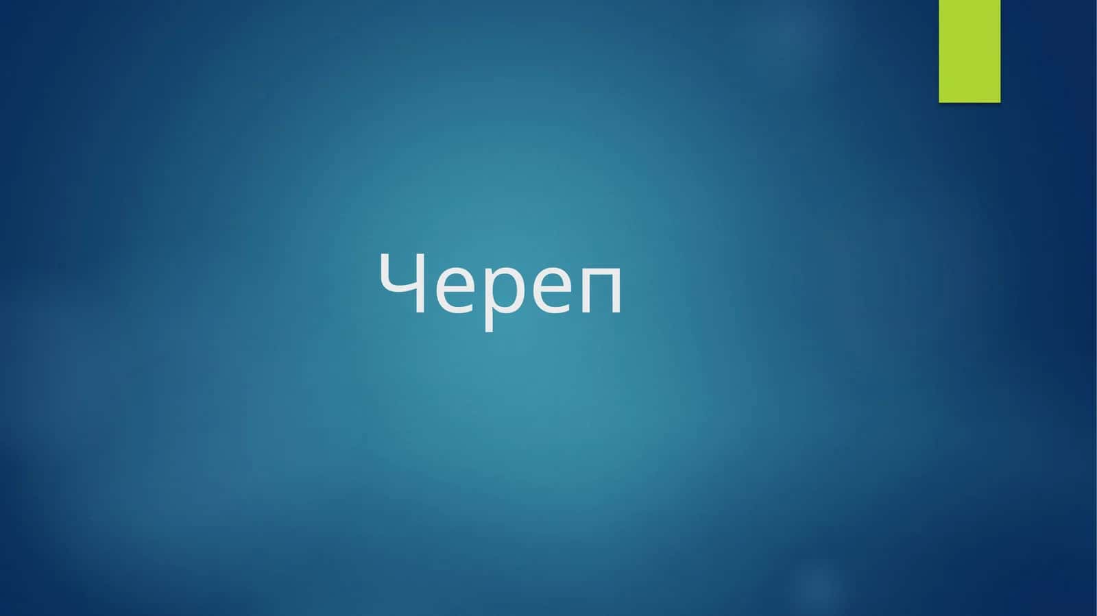 Череп