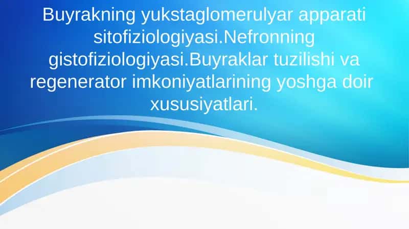 Buyrakning yukstaglomerulyar apparati sitofiziologiyasi. Nefronning gistofiziologiyasi. Buyraklar tuzilishi va regenerator imkoniyatlarining yoshga doir xususiyatlari.