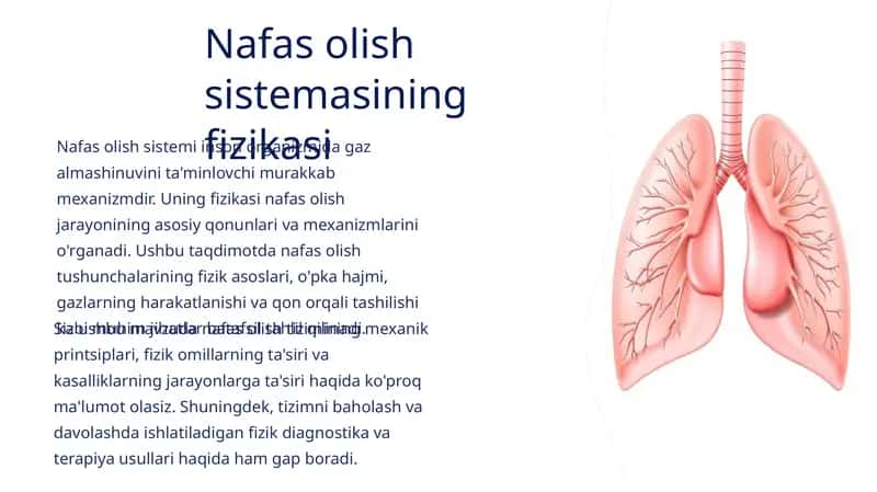 Nafas olish sistemasining fizikasi
