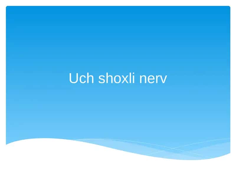 uch shoxli nerv