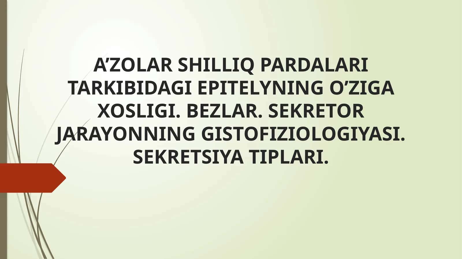A’ZOLAR SHILLIQ PARDALARI TARKIBIDAGI EPITELYNING O’ZIGA XOSLIGI