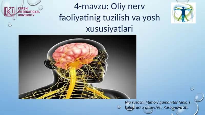 Oliy nerv faoliyati va uning yoshga bog‘liq xususiyatlari