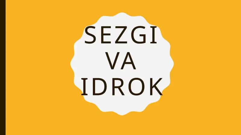 Sezgi va Idrok
