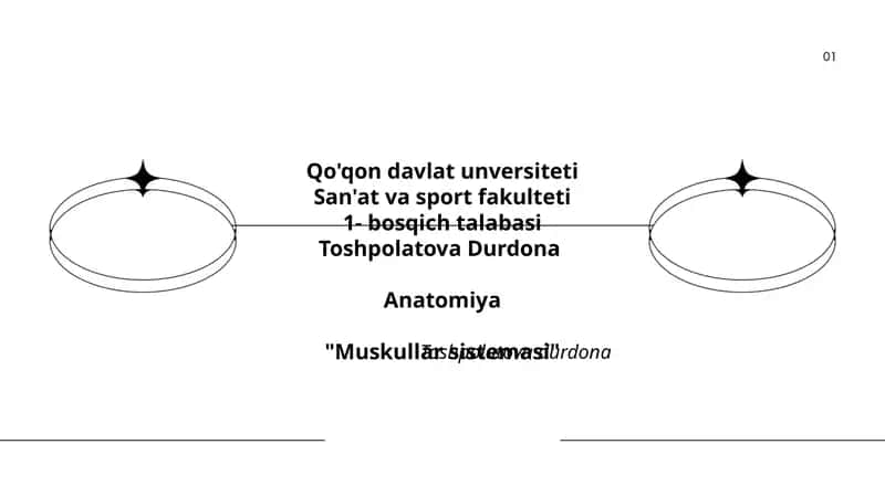 Muskullar sistemasi