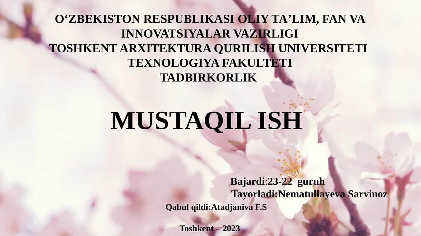 Tadbirkorlikni rivojlantirishning xorijiy tajribalari