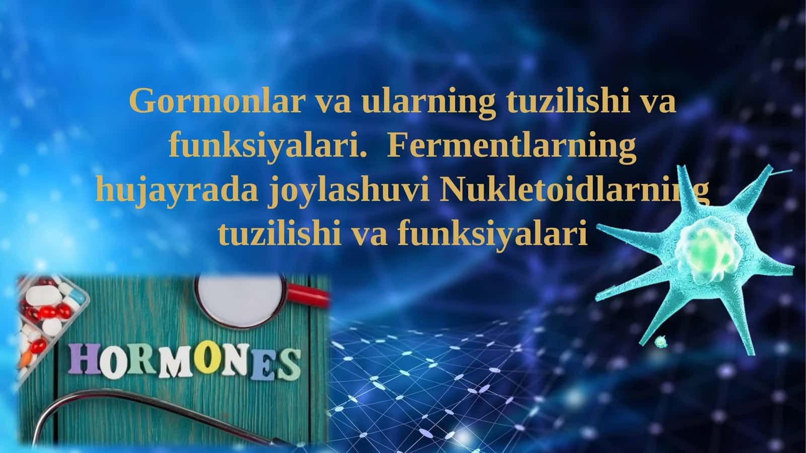 Gormonlar va ularning tuzilishi va funksiyalari. Fermentlarning hujayrada joylashuvi Nukletoidlarning tuzilishi va funksiyalari