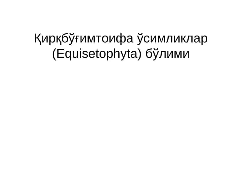 Қирқбўғимтоифа ўсимликлар (Equisetophyta) бўлими