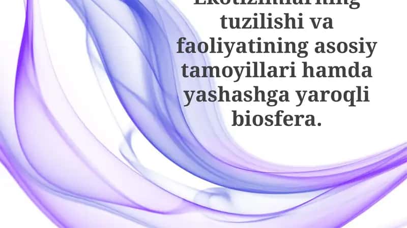 Ekotizimlarning tuzilishi va faoliyati
