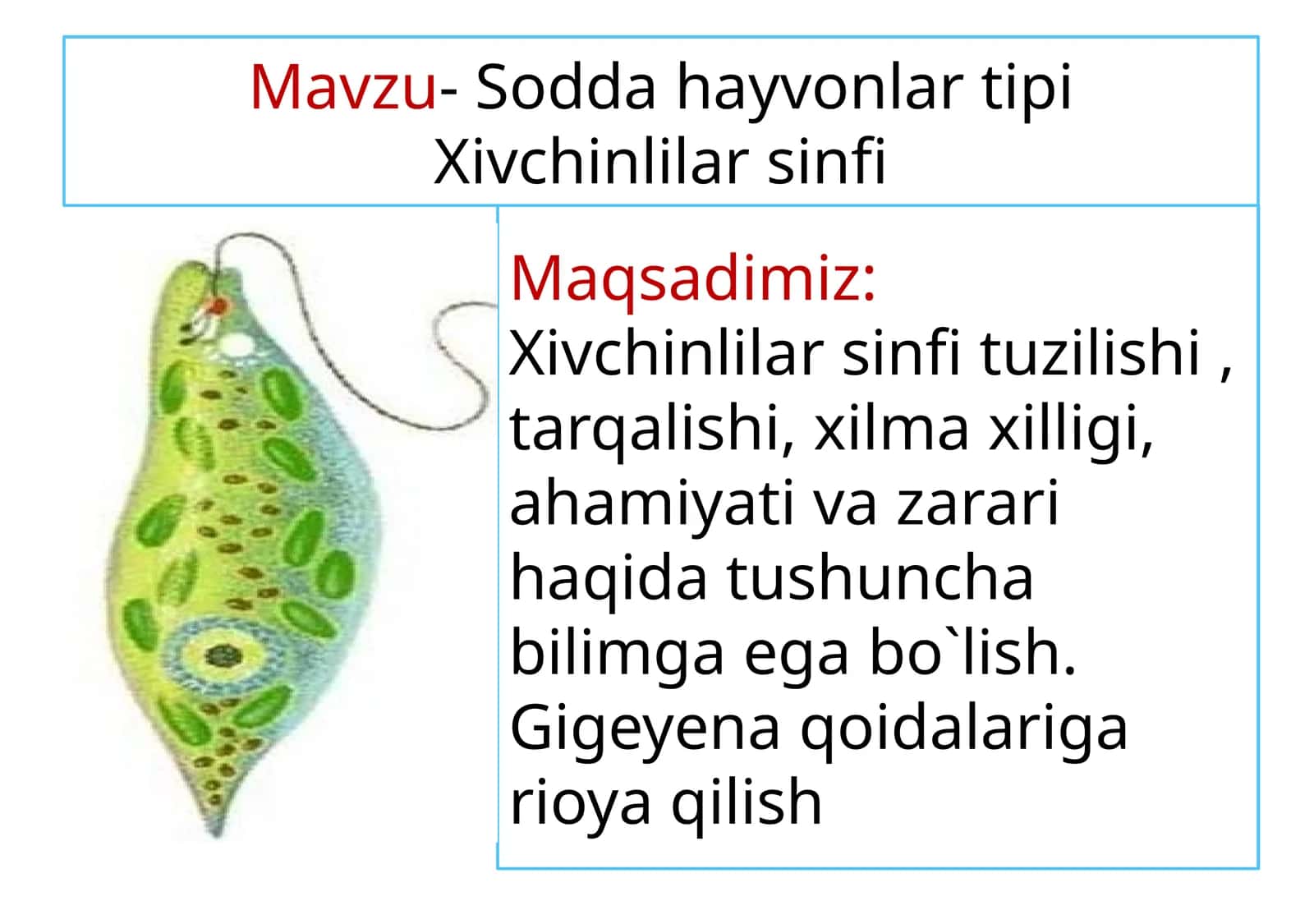 Soddahayvonlar tipi