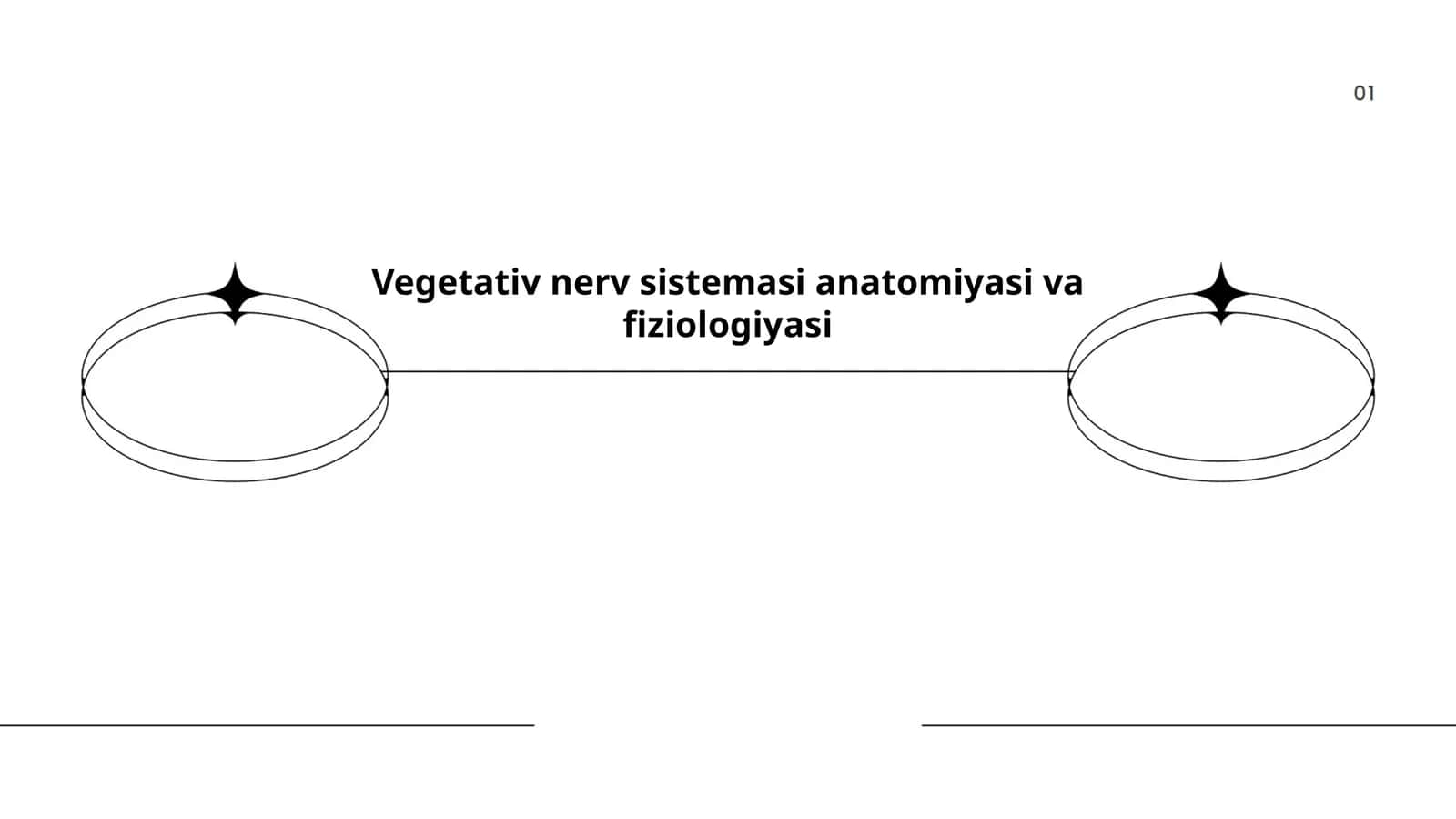 Vegetativ nerv sistemasi anatomiyasi va fiziologiyasi