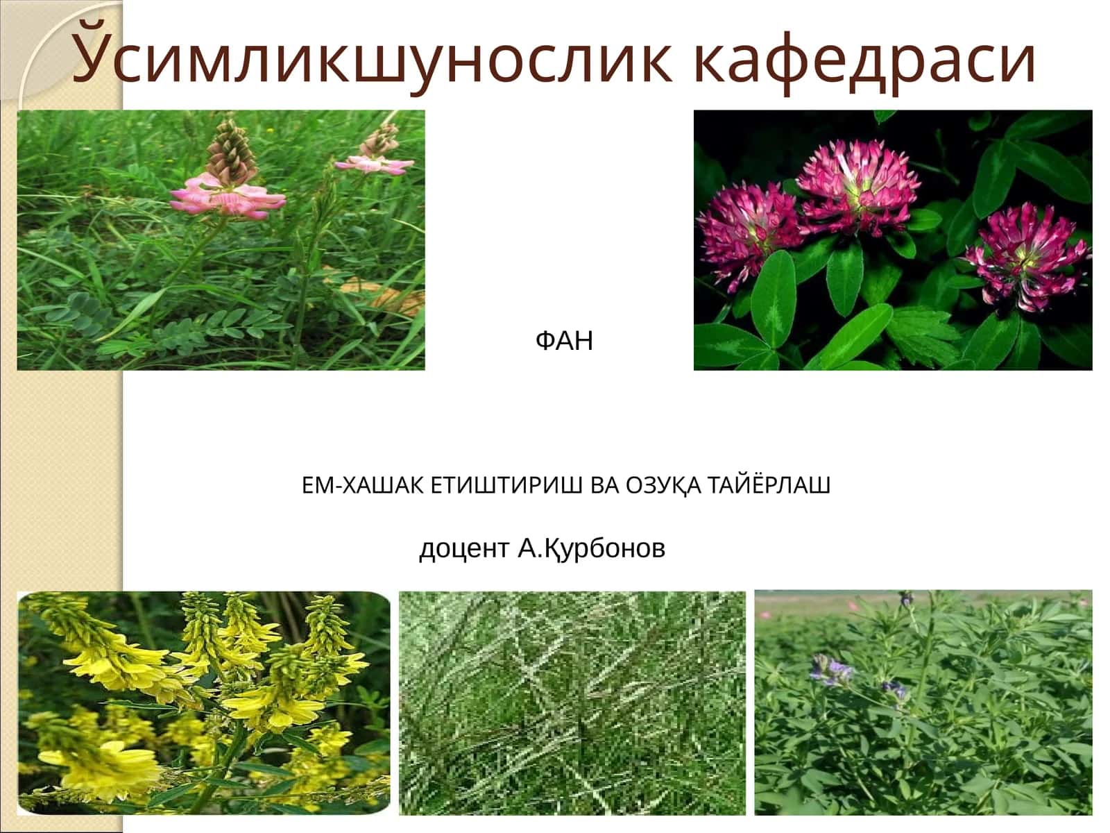 Ўсимликшунослик кафедраси