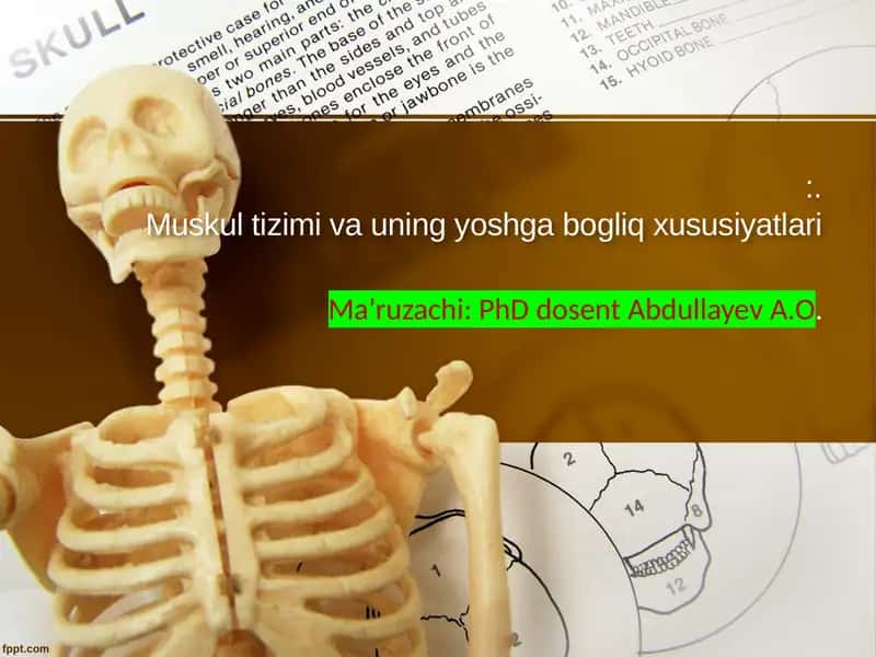 Muskultizimivauningyoshgabogliqxususiyatlari