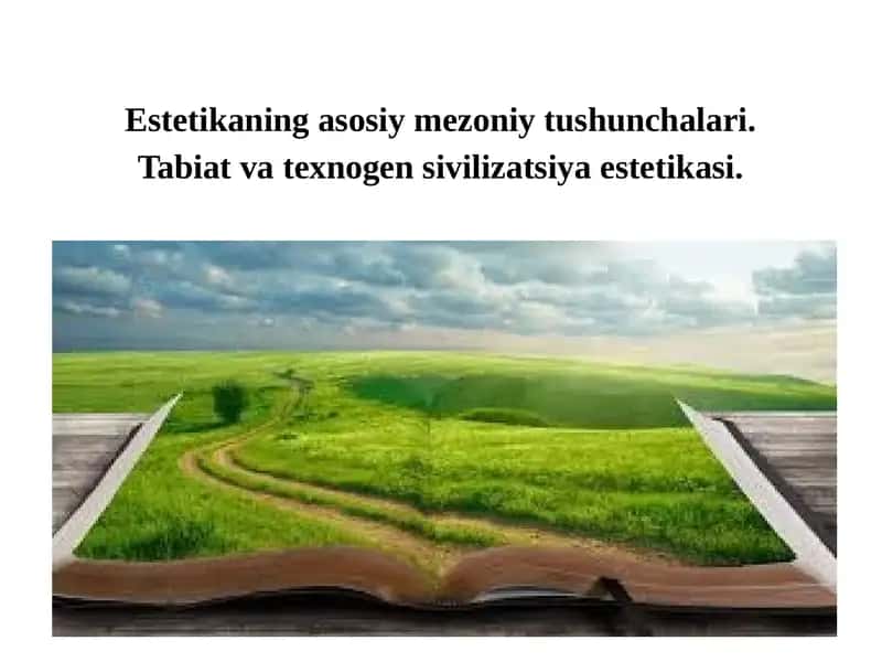 Estetikaning asosiy mezoniy tushunchalari