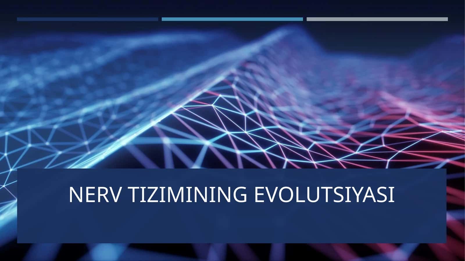 NERV TIZIMINING EVOLUTSIYASI