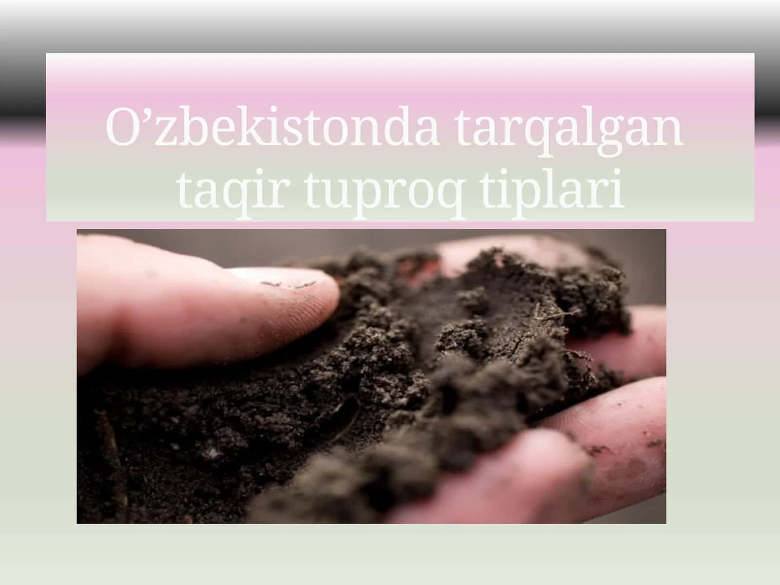 Taqirtuproqlar Oʻzbekistonda