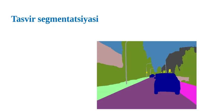 Tasvir segmentatsiyasi