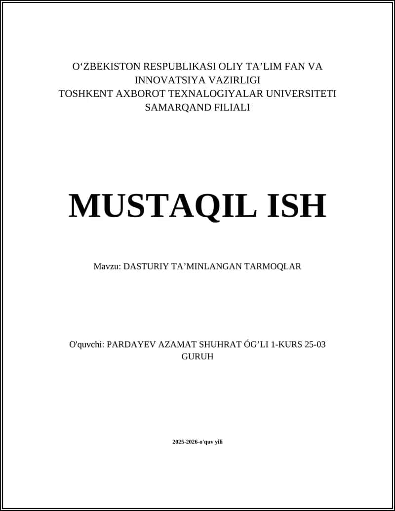 DASTURIY TA’MINLANGAN TARMOQLAR