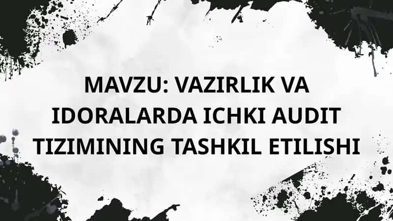 Vazirlik va idoralarda ichki audit tizimining tashkil etilishi