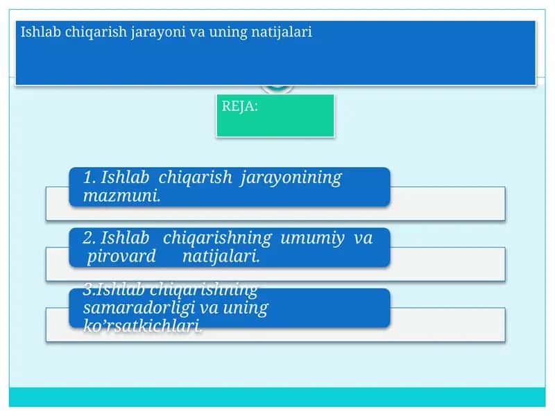 Ishlab chiqarish jarayoni va uning natijalari