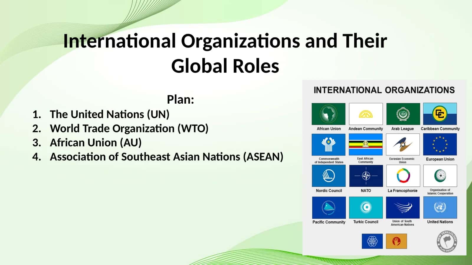 International Organizations and Their Global Roles