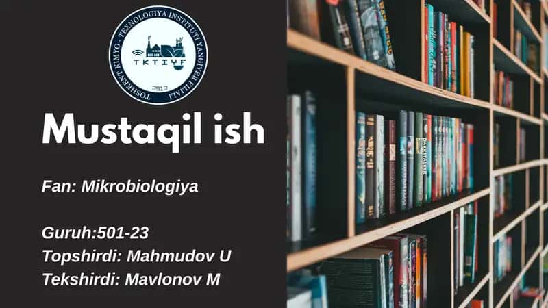 Go'sht Mahsulotlarini Ishlab Chiqarishda Mikroorganizmlarning Roli