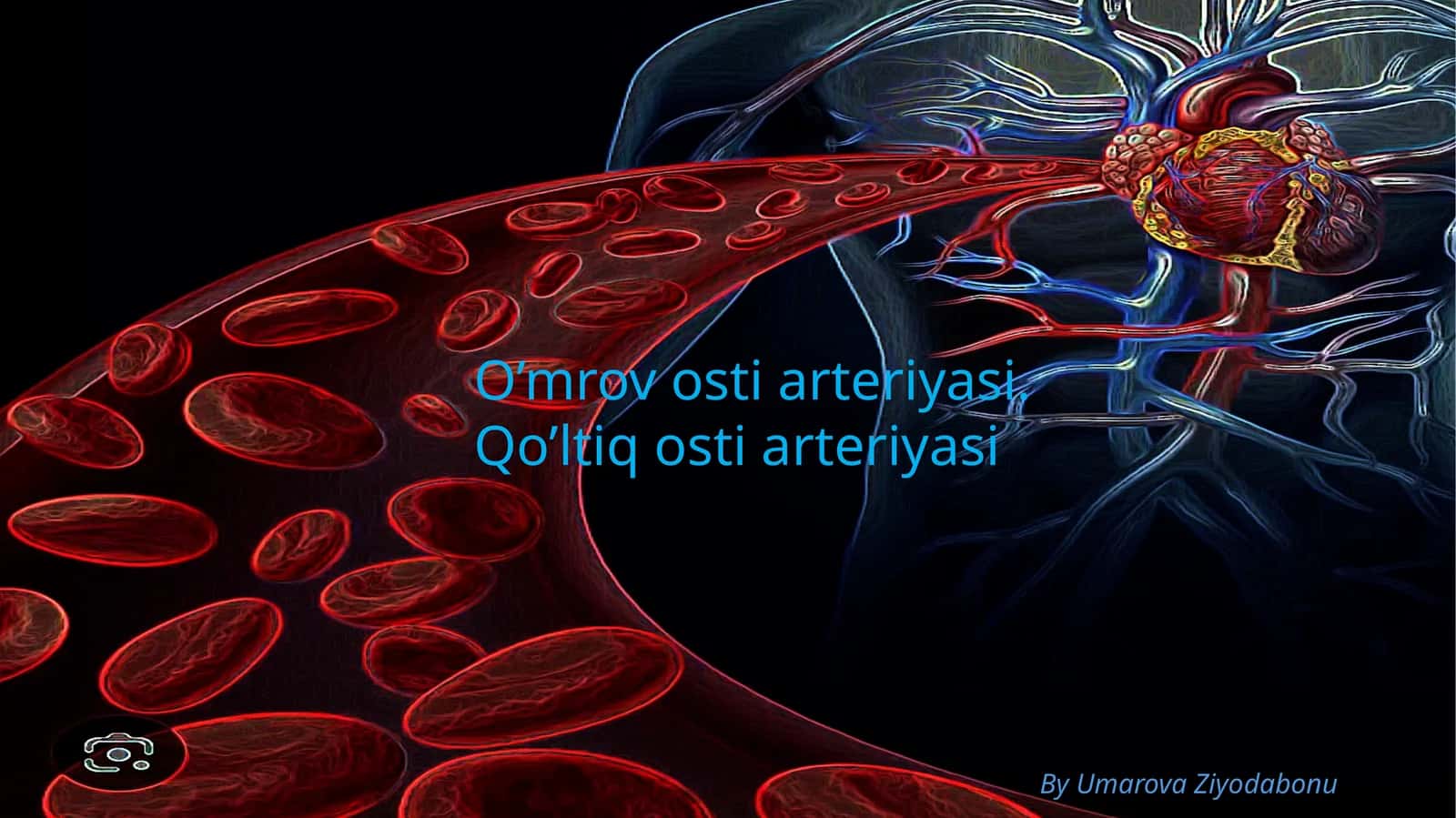 O’mrovostiarteriyasi.Qo’ltiqostiarteriyasi