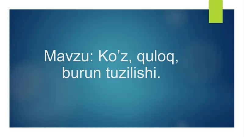 Ko’z, quloq, burun tuzilishi.