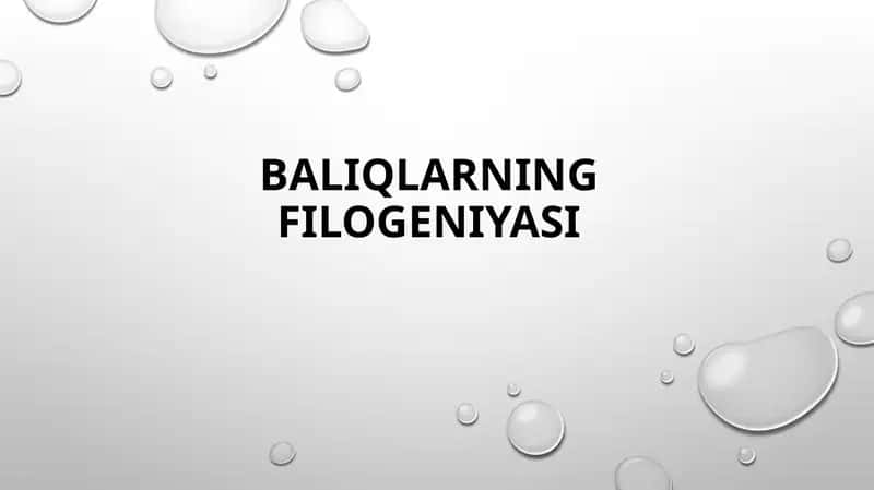 Baliqlarning Filogeniyasi