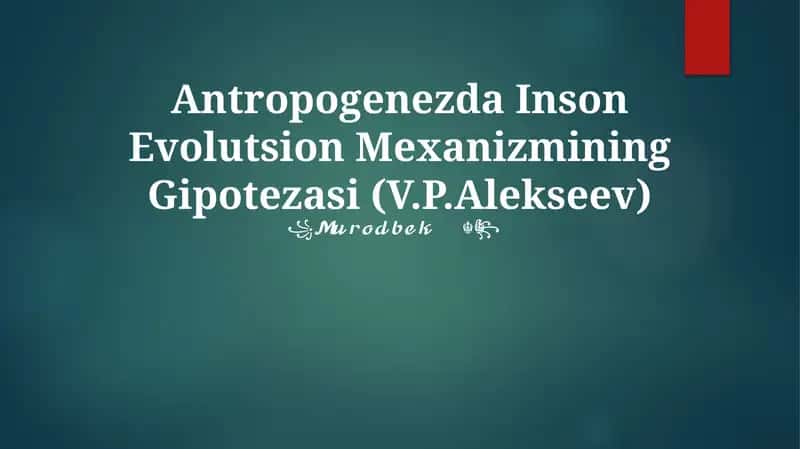 Antropogenezda Inson Evolutsion Mexanizmining Gipotezasi (V.P.Alekseev)