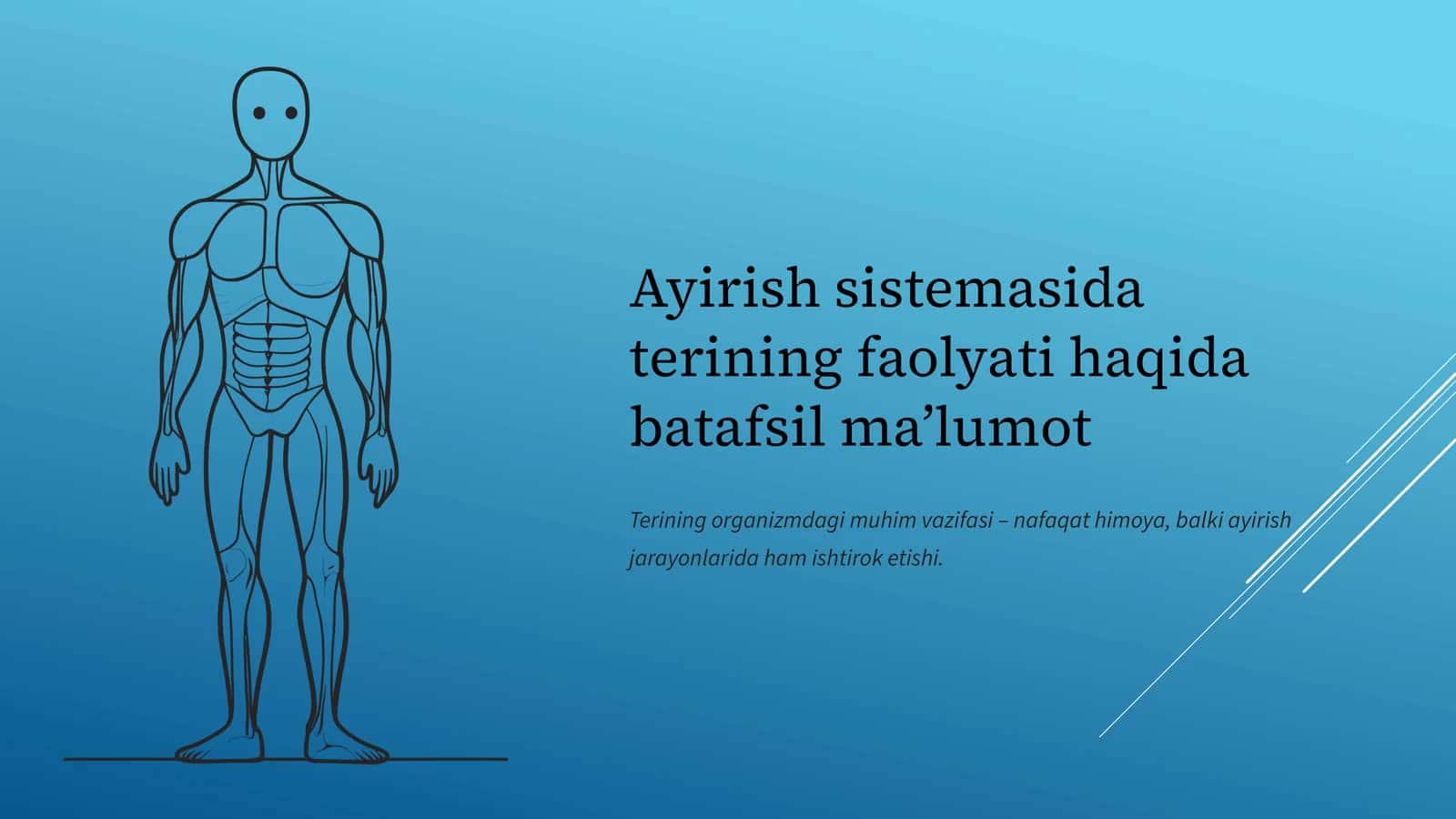 Ayirish sistemasining asosiy a'zolari