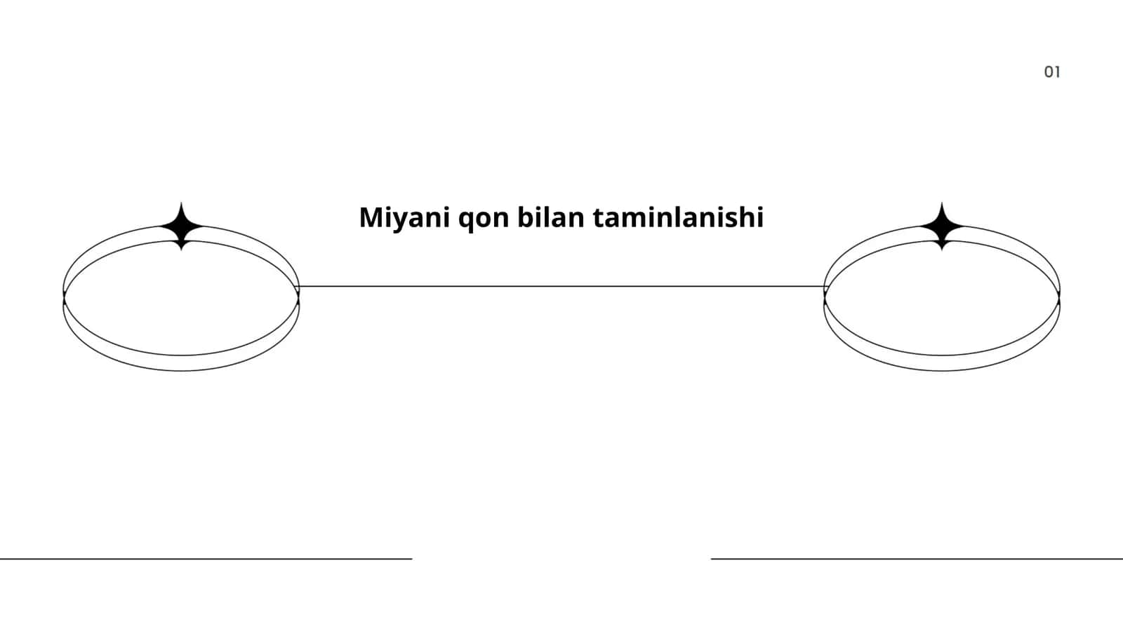 Miyaning qon bilan taminlanishi