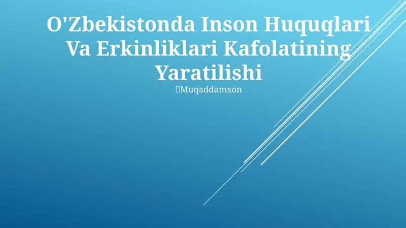 Inson Huquqlari Va Erkinliklari Kafolatining Yaratilishi