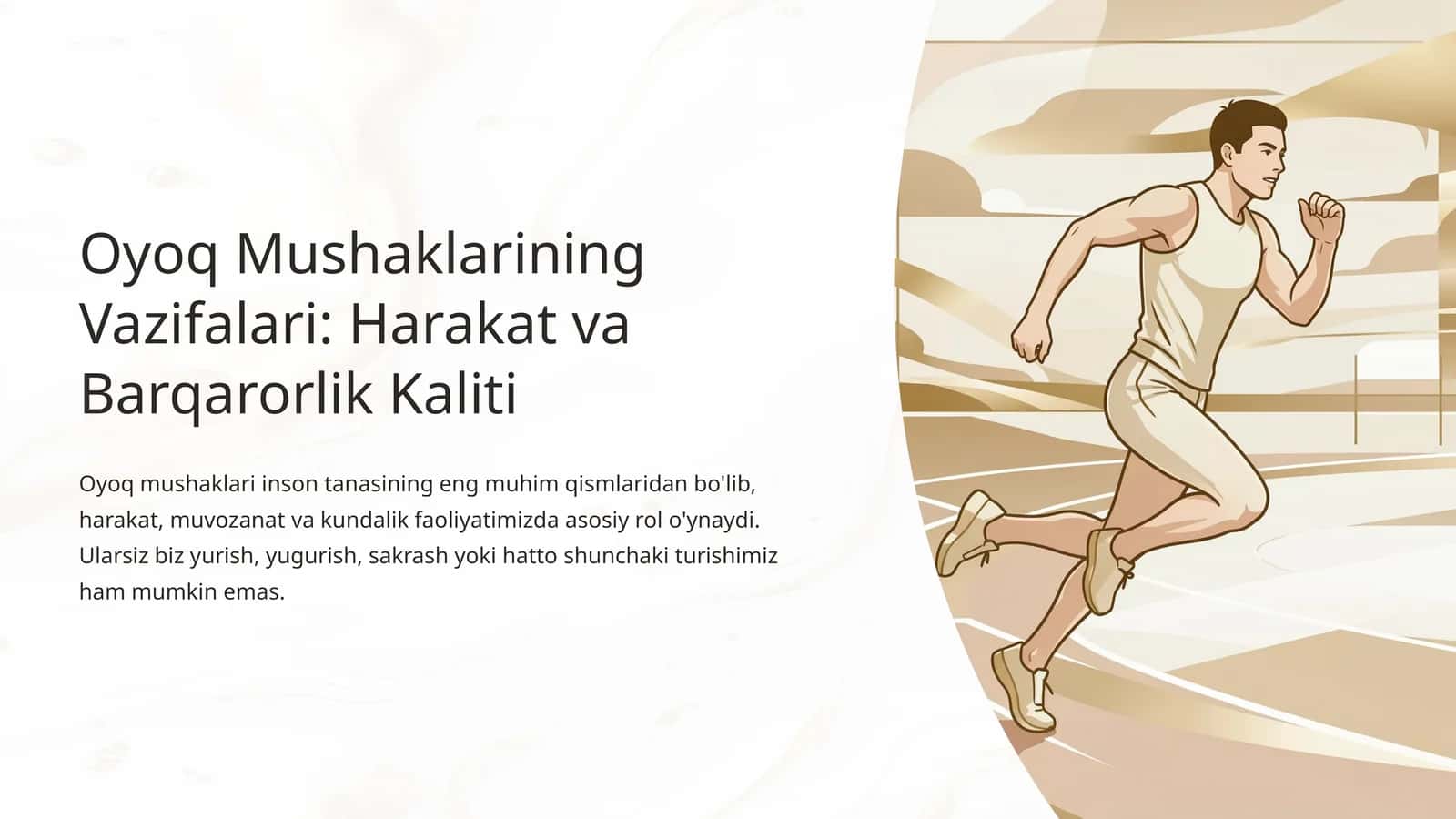 Oyoq Mushaklarining Vazifalari