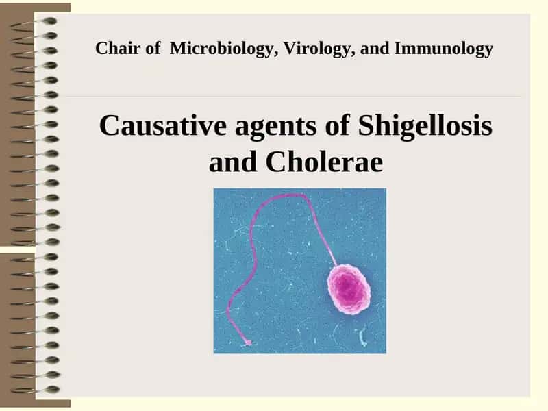 Causative agents of Shigellosis