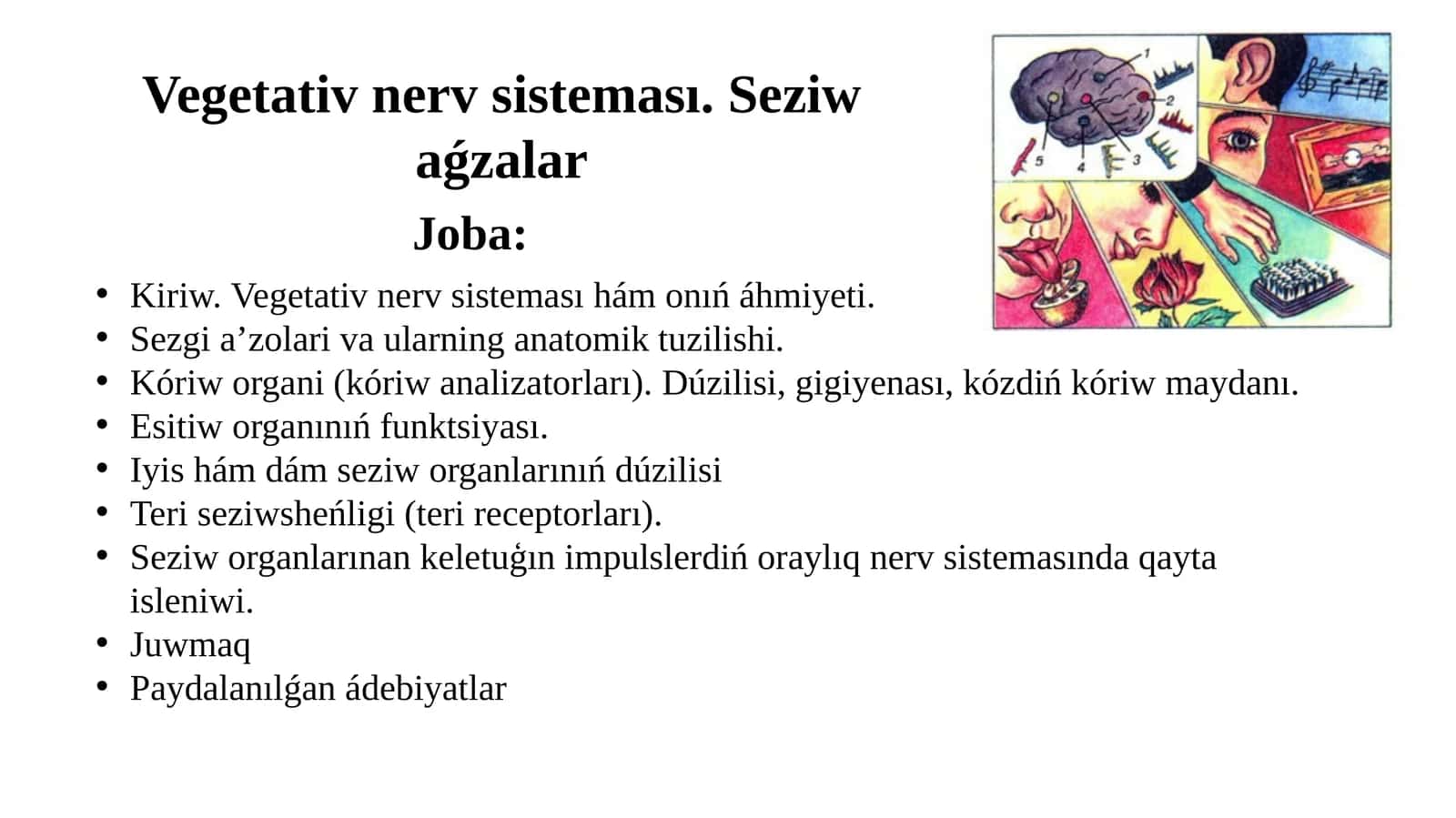 Vegetativ nerv sisteması. Seziw aǵzalar