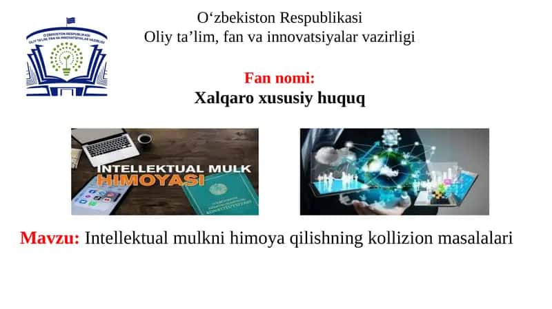 Intellektual mulkni himoya qilishning kollizion masalalari