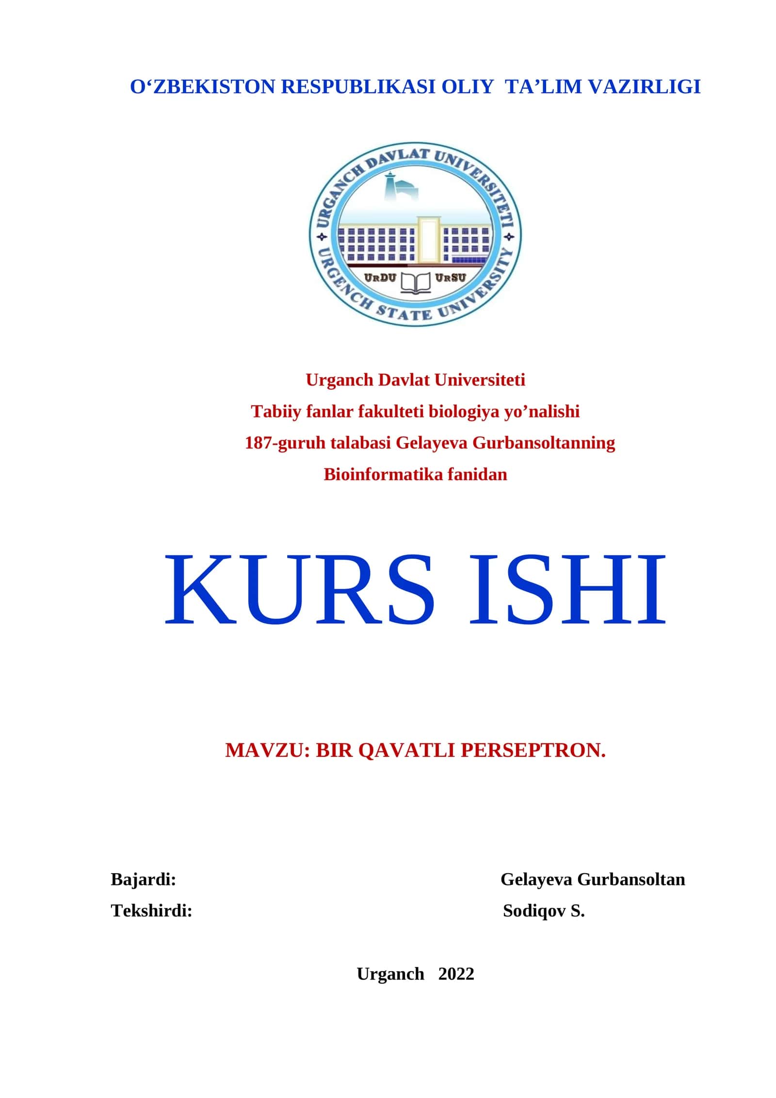 BIR QAVATLI PERSEPTRON