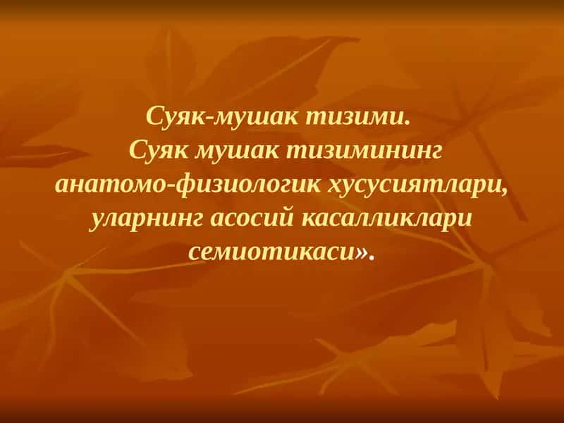 Суяк-мушак тизими
