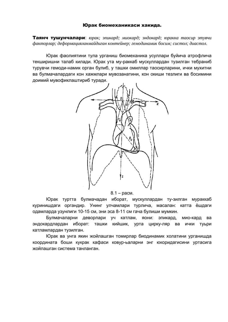 Юрак биомеханикаси