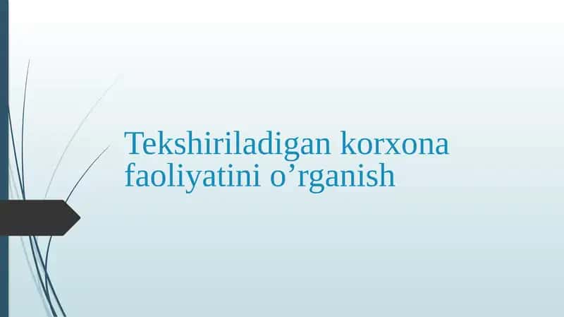Tekshiriladigan korxona faoliyatini o‘rganish