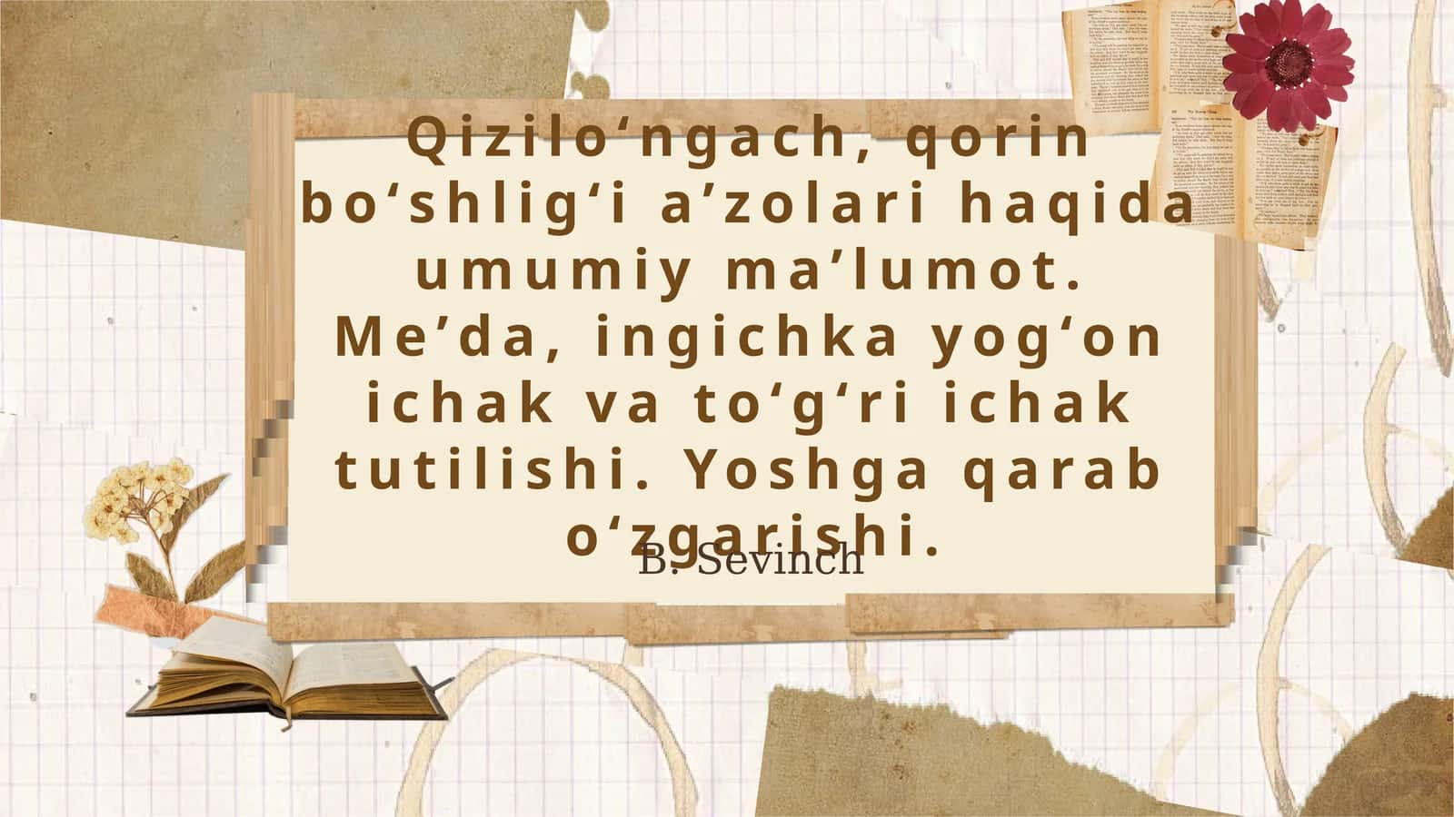 Qiziloʻngach va Qorin Boʻshligʻi Aʼzolari