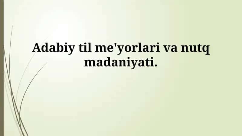 Adabiy til me'yorlari va nutqmadaniyati