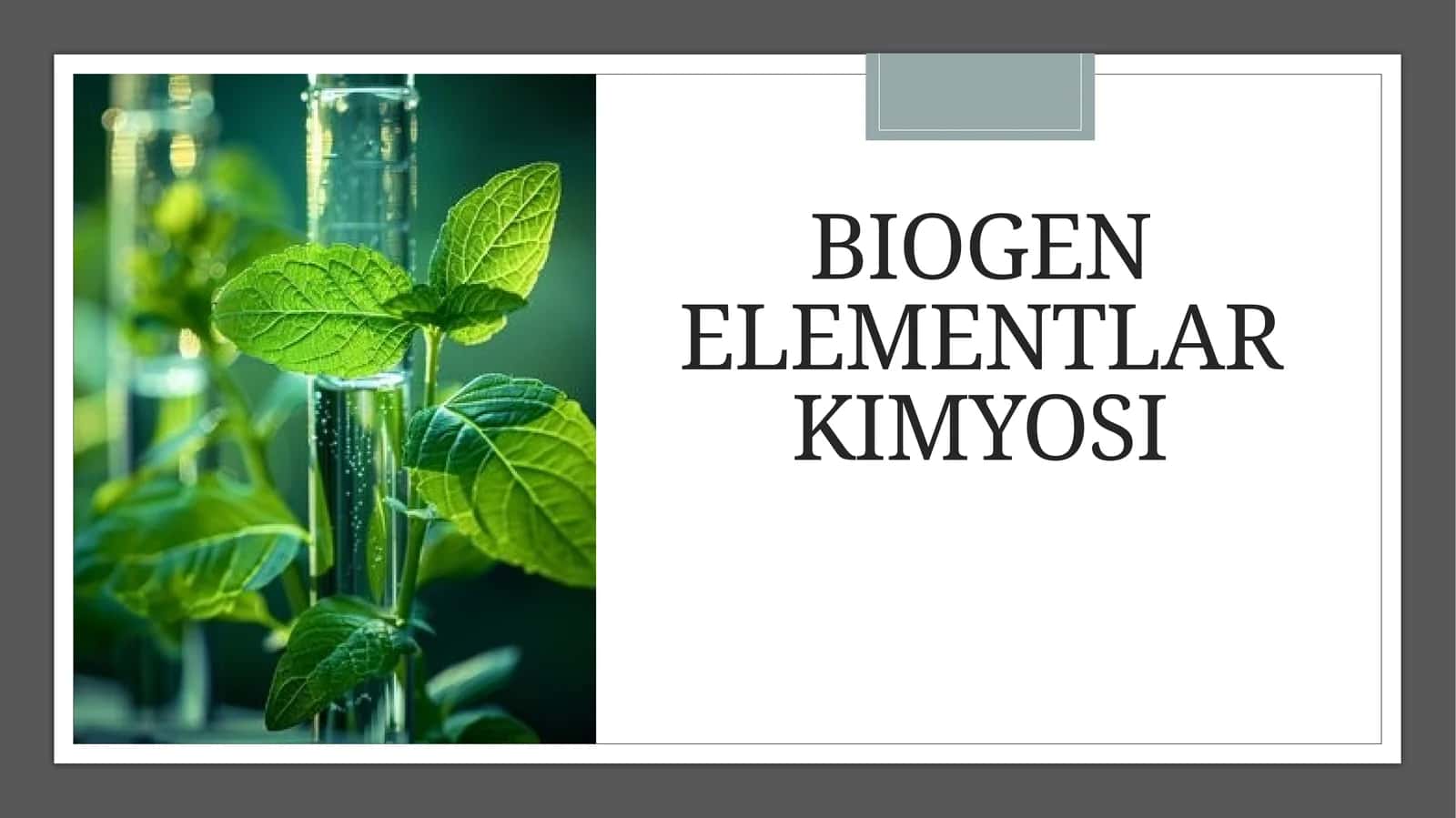 Biogenelementlar kimyosi
