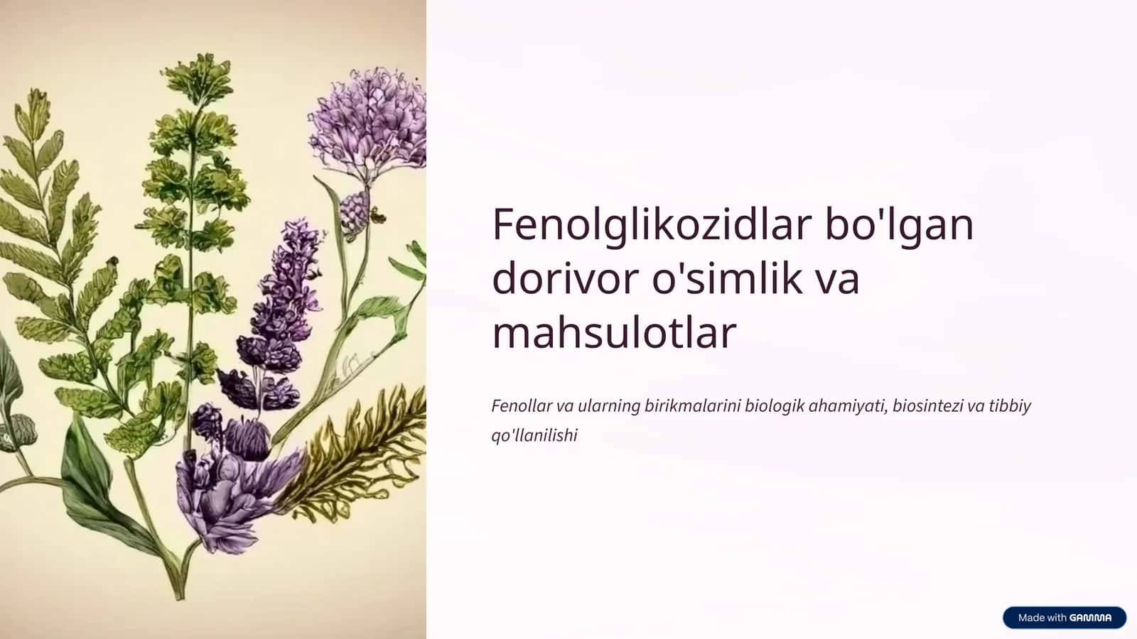 Fenolglikozidlar bo'lgan dorivor o'simlik va mahsulotlar